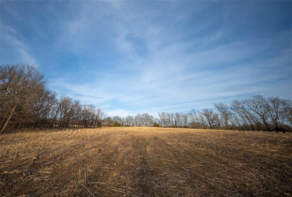 Listing Photo MLS #HMS2626000