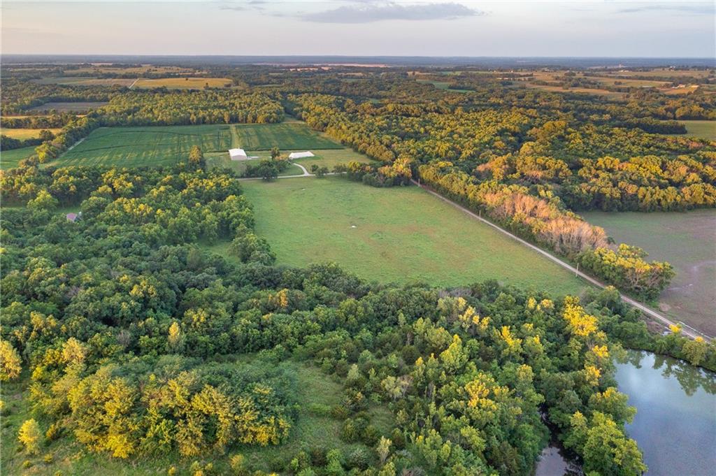 Listing Photo MLS #HMS2626608