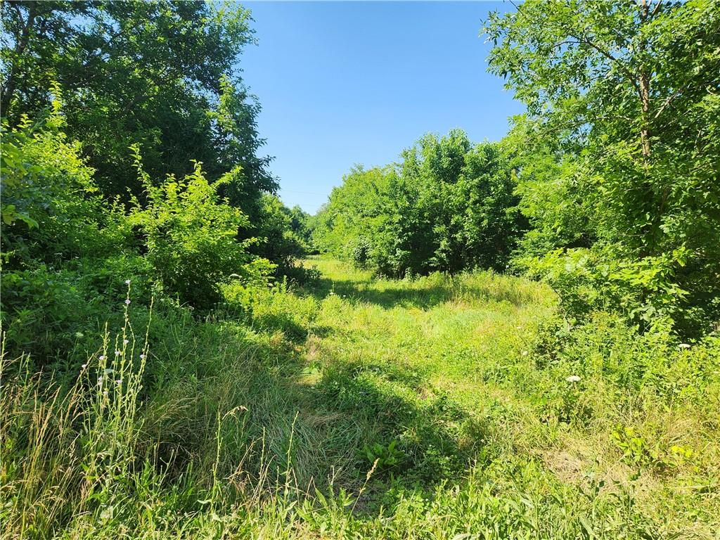Listing Photo MLS #HMS2626667