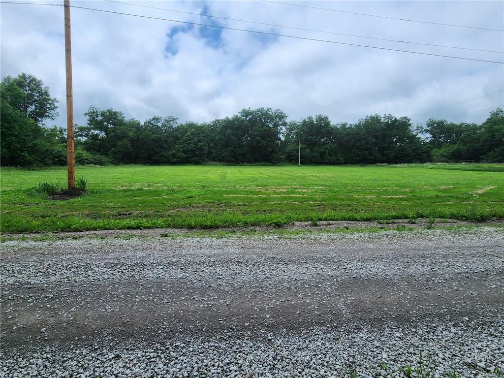 Listing Photo MLS #HMS2627992