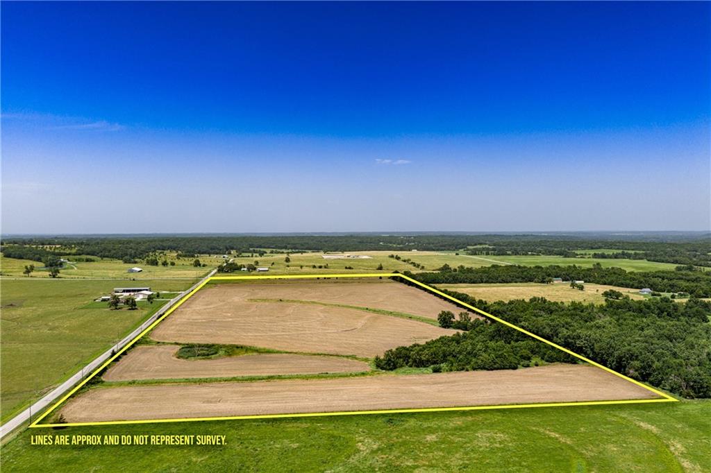 Listing Photo MLS #HMS2629482