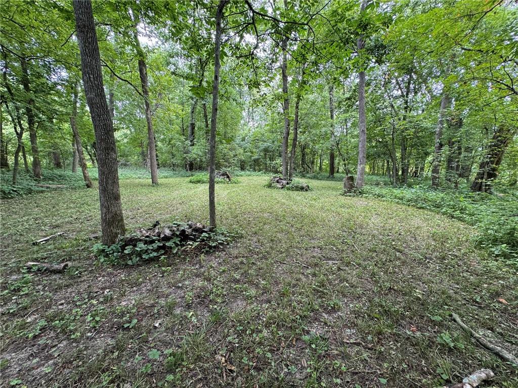 Listing Photo MLS #HMS2630155