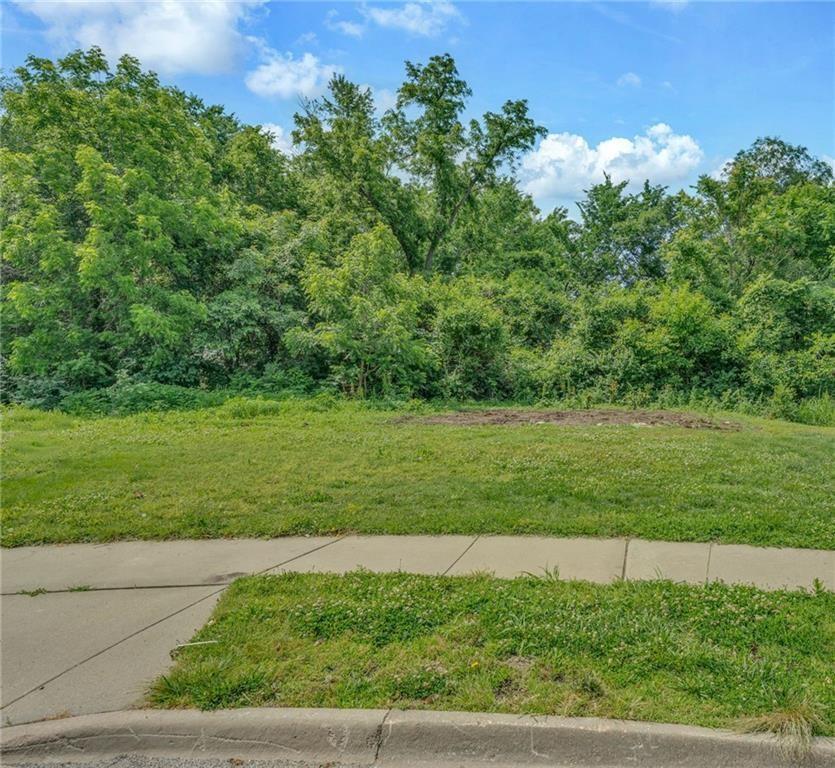 Listing Photo MLS #HMS2630329