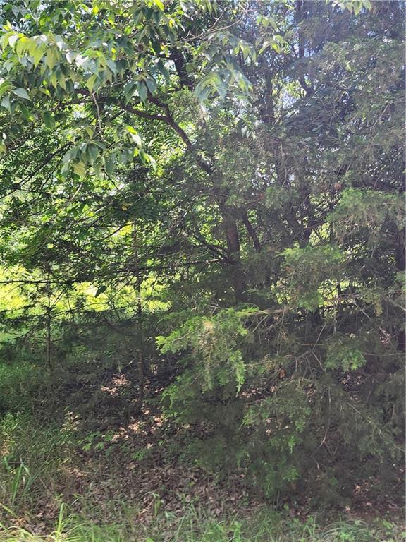 Listing Photo MLS #HMS2631011