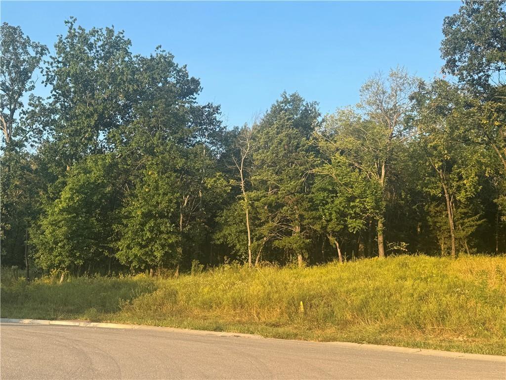 Listing Photo MLS #HMS2631324