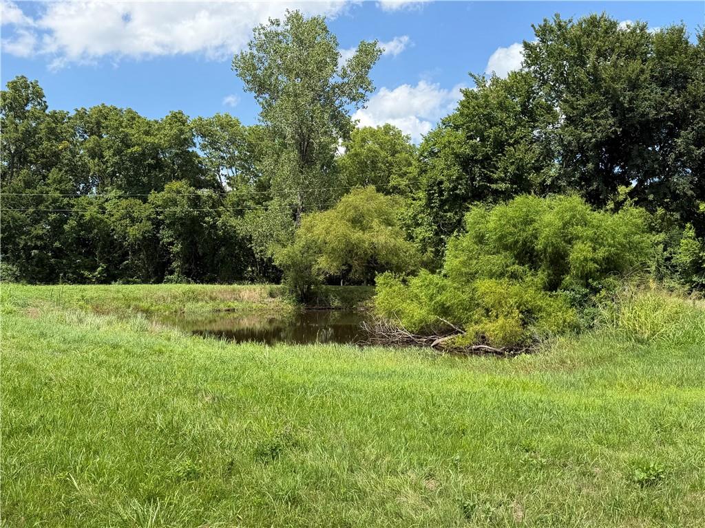 Listing Photo MLS #HMS2632852