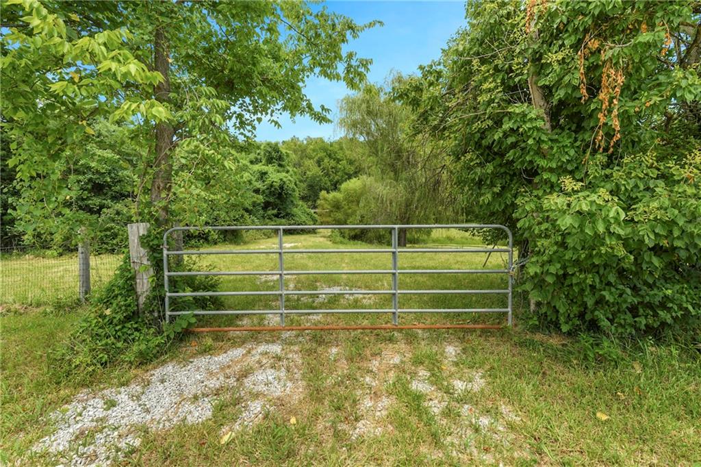 Listing Photo MLS #HMS2632877