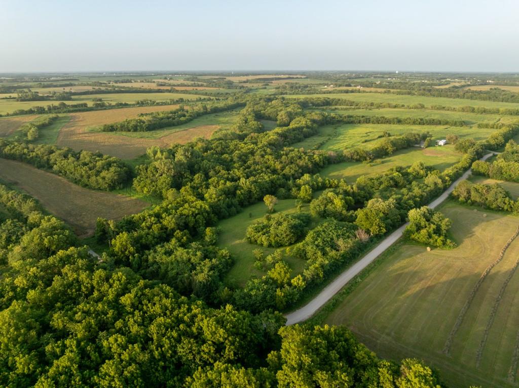 Listing Photo MLS #HMS2632938