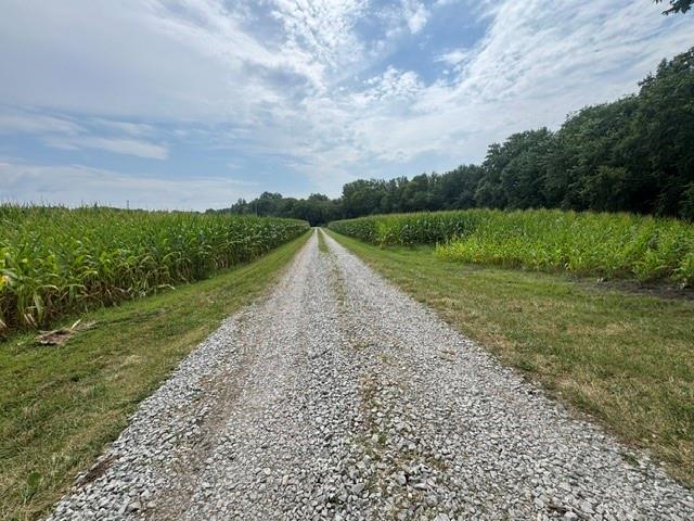 Listing Photo MLS #HMS2633003
