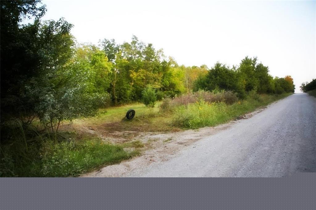 Listing Photo MLS #HMS2633537