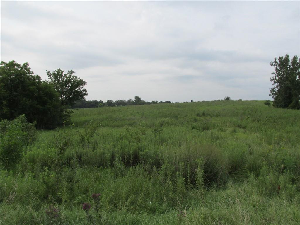 Listing Photo MLS #HMS2634111