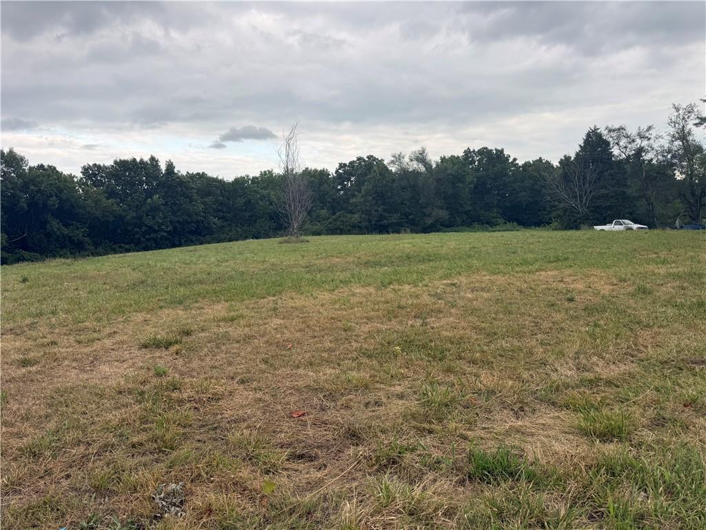 Listing Photo MLS #HMS2634508