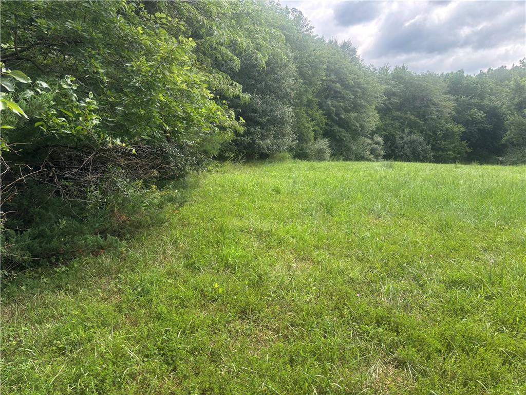 Listing Photo MLS #HMS2634854