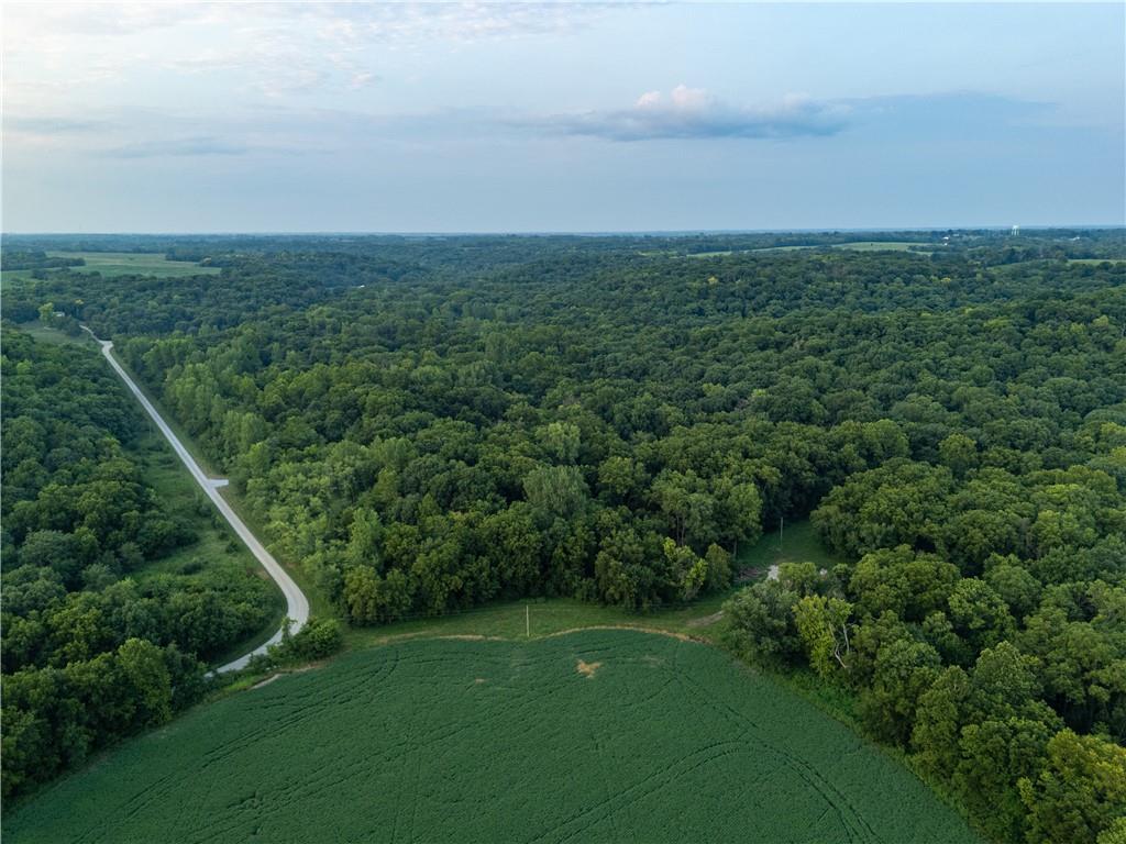 Listing Photo MLS #HMS2634955