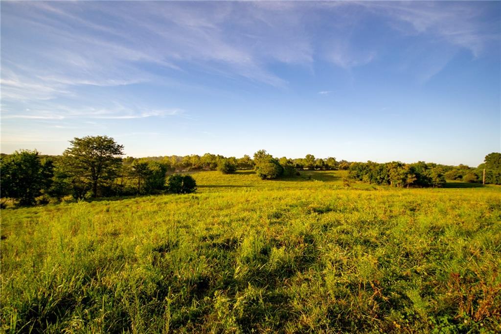 Listing Photo MLS #HMS2634968