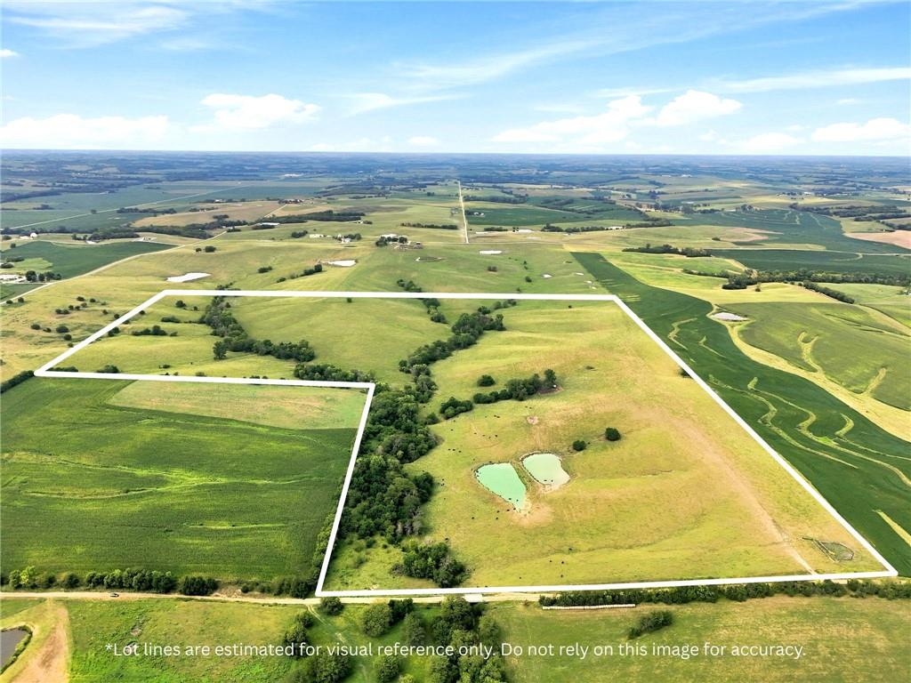 Listing Photo MLS #HMS2635012