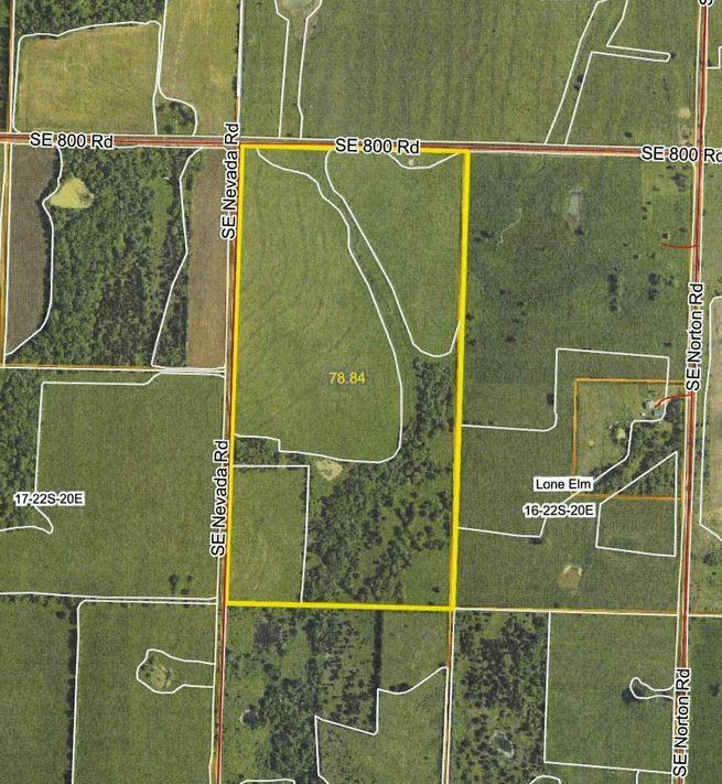 Listing Photo MLS #HMS2635139