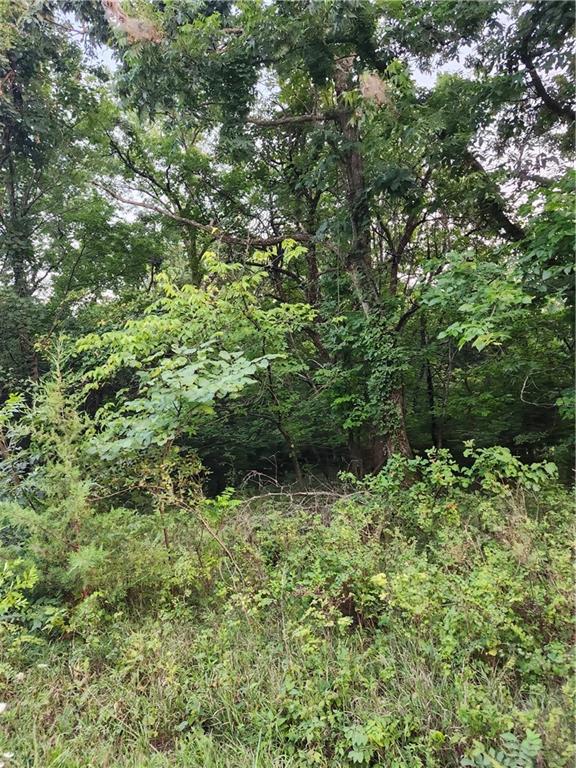 Listing Photo MLS #HMS2635225