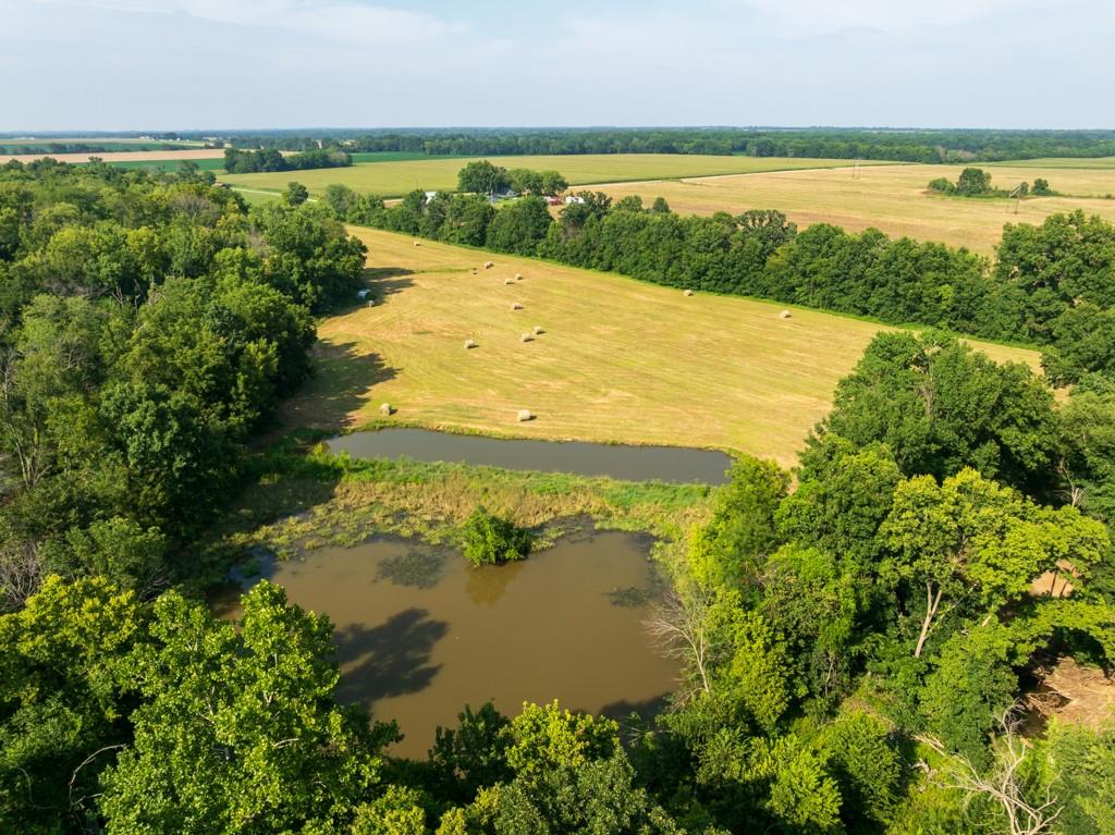 Listing Photo MLS #HMS2635259