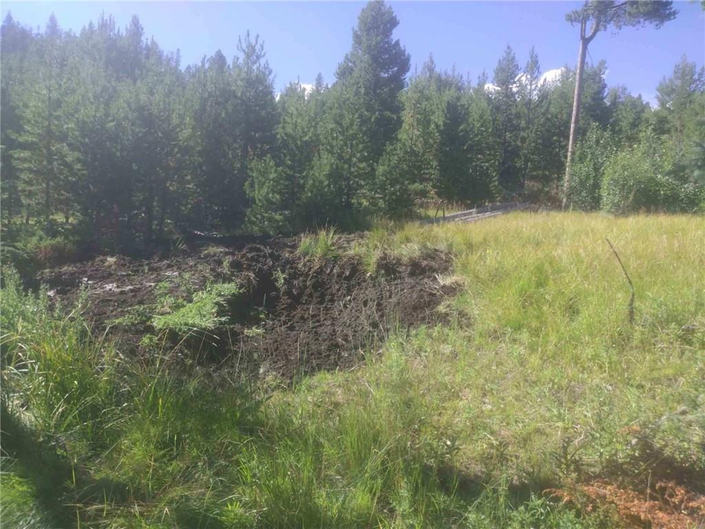 Listing Photo MLS #HMS2635450