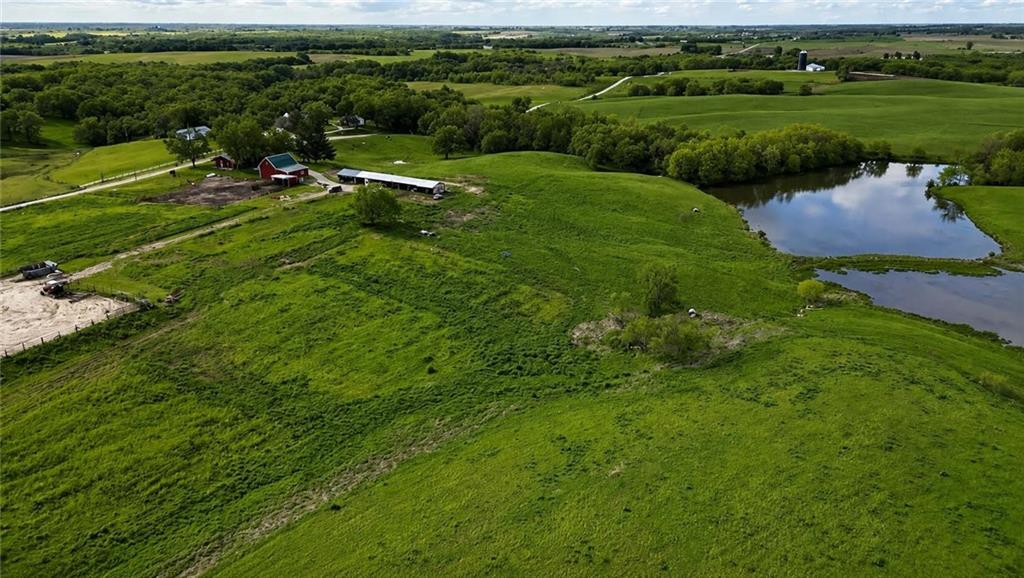 Listing Photo MLS #HMS2635501