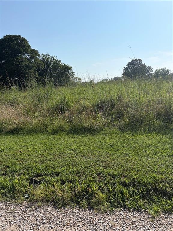 Listing Photo MLS #HMS2635702