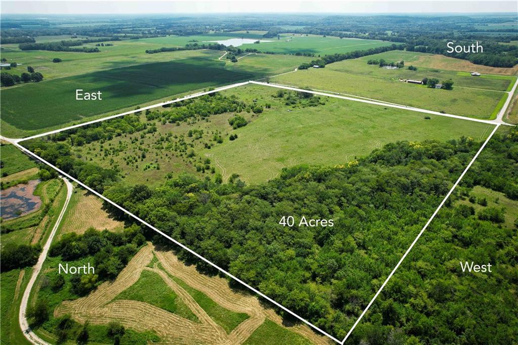 Listing Photo MLS #HMS2635740