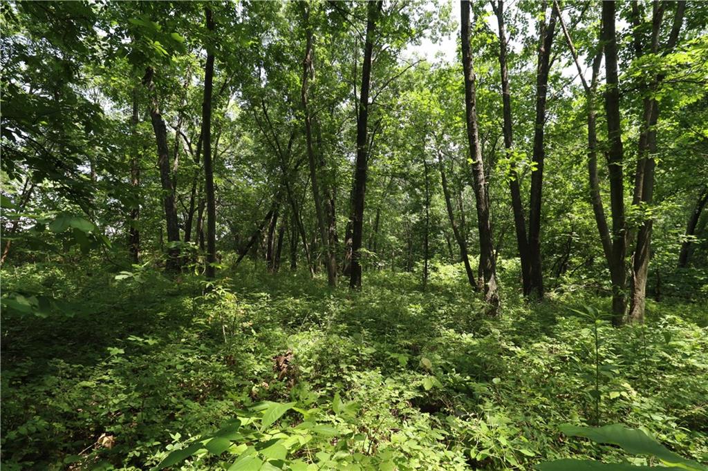 Listing Photo MLS #HMS2635861