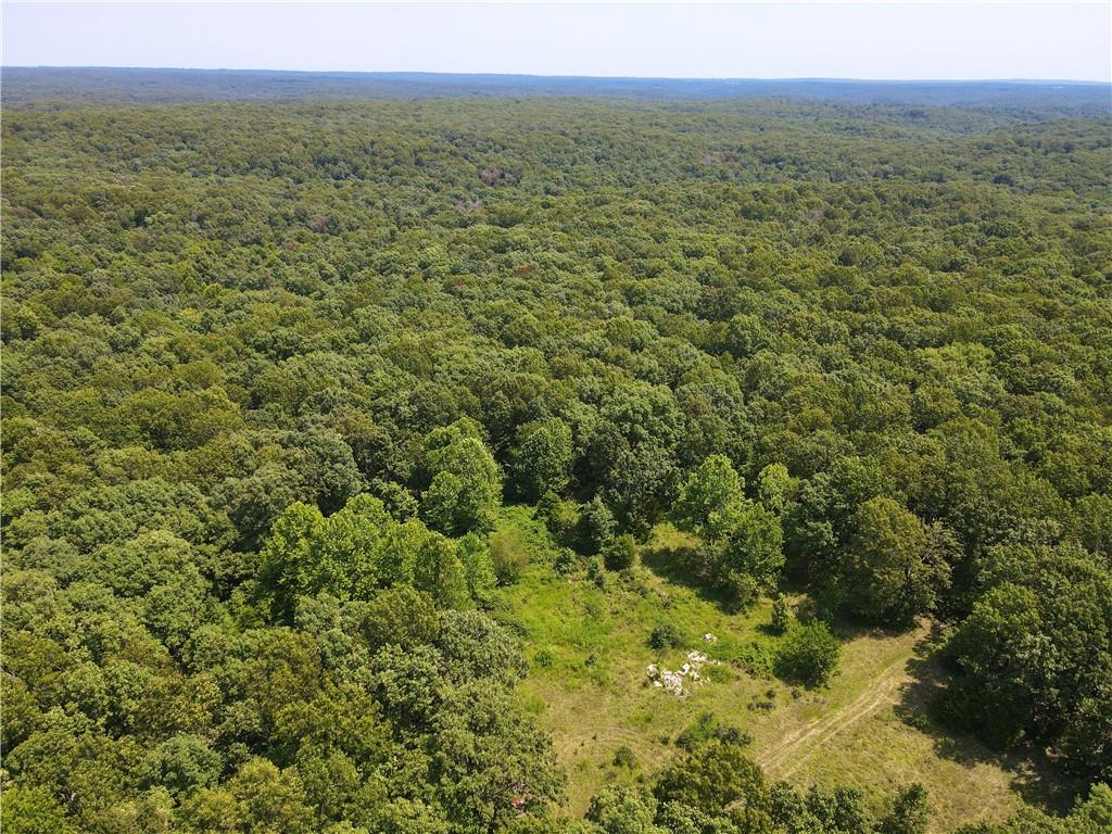 Listing Photo MLS #HMS2636700