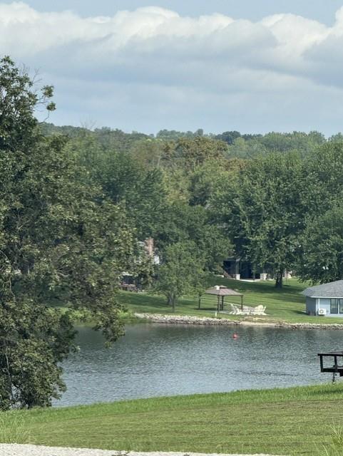 Listing Photo MLS #HMS2636715