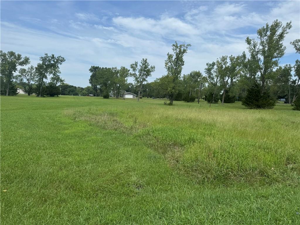 Listing Photo MLS #HMS2636720