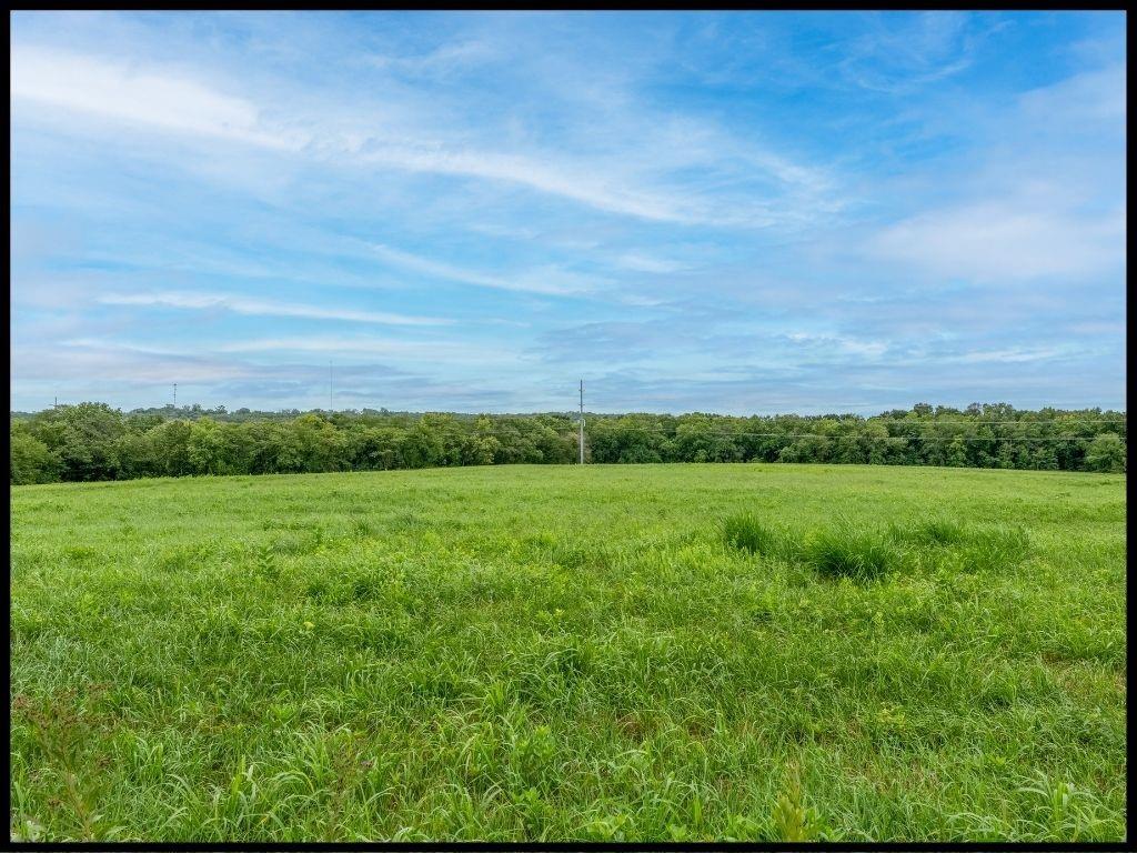 Listing Photo MLS #HMS2637355