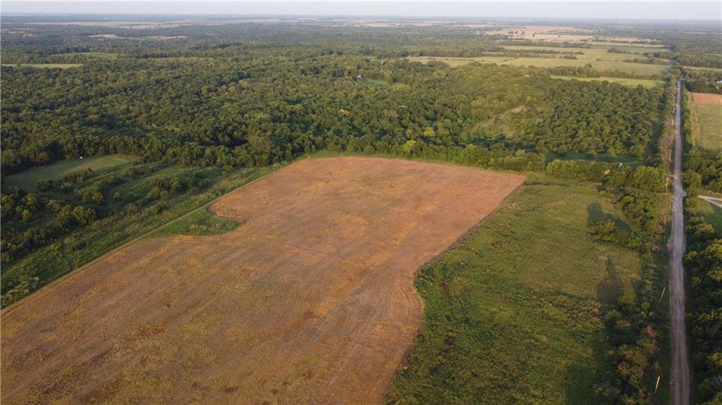 Listing Photo MLS #HMS2637608