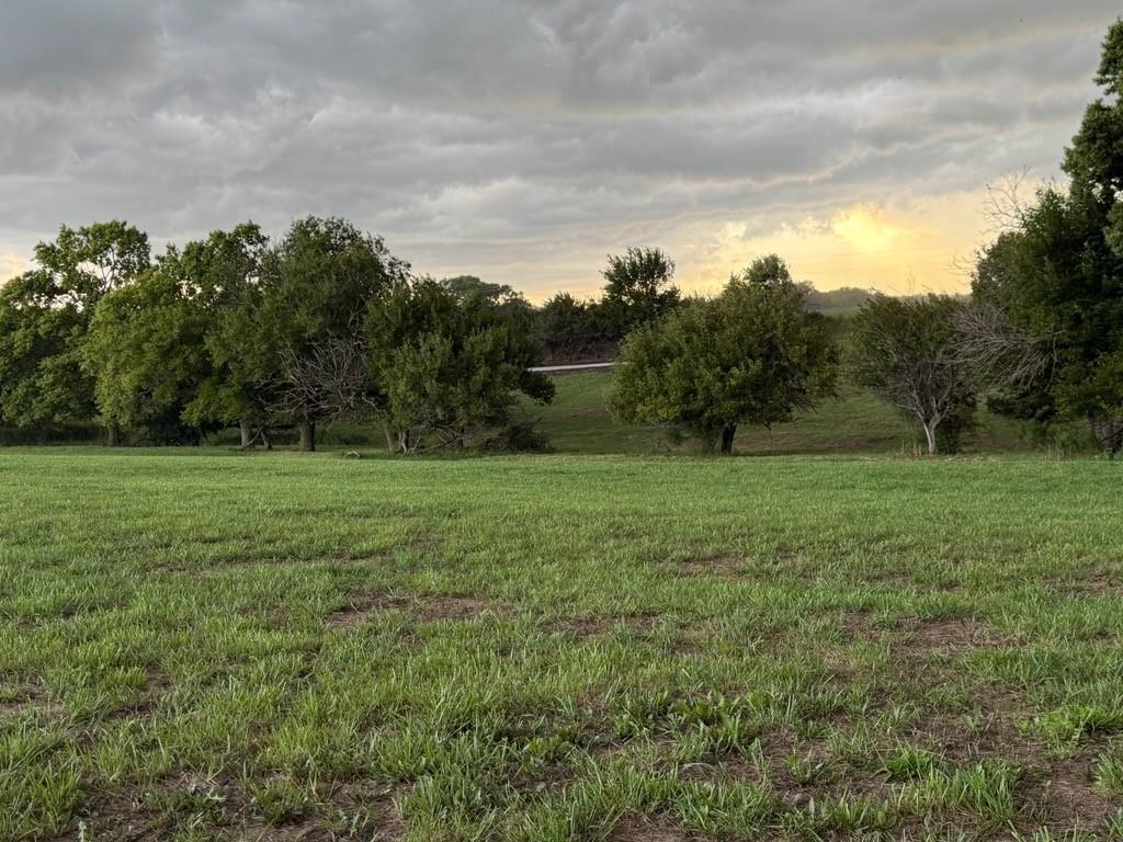 Listing Photo MLS #HMS2637691