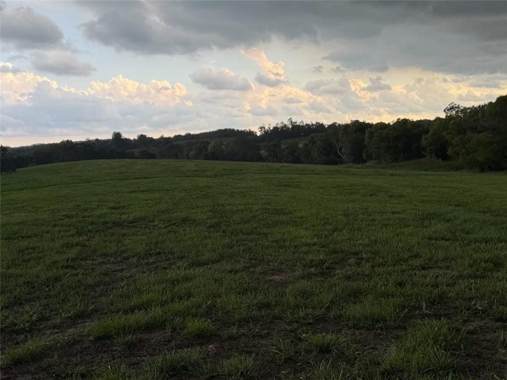 Listing Photo MLS #HMS2637695