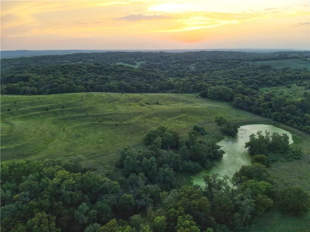 Listing Photo MLS #HMS2637726