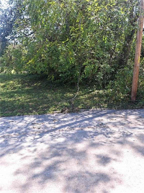 Listing Photo MLS #HMS2637728