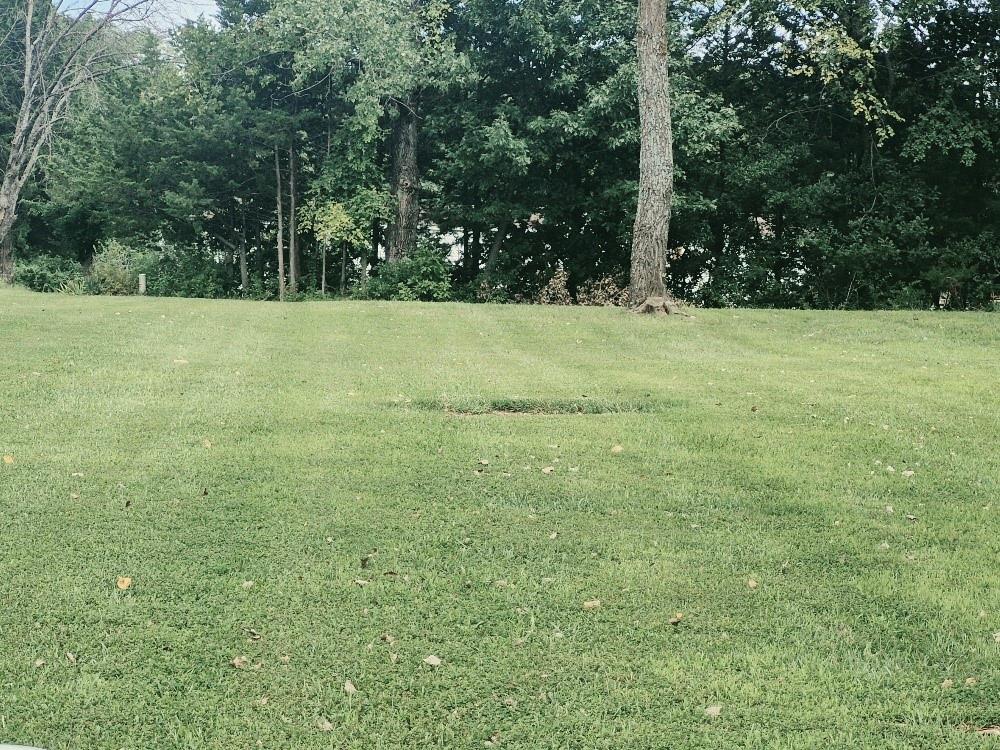 Listing Photo MLS #HMS2637892