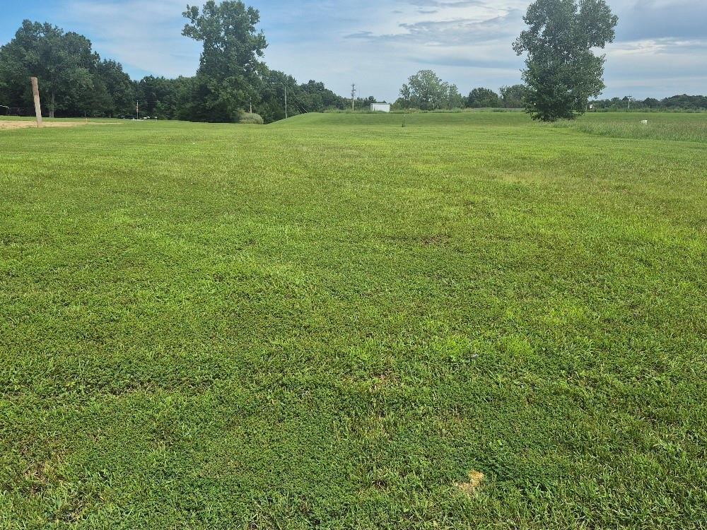 Listing Photo MLS #HMS2637909