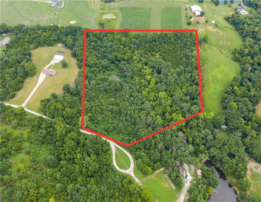 Listing Photo MLS #HMS2637941