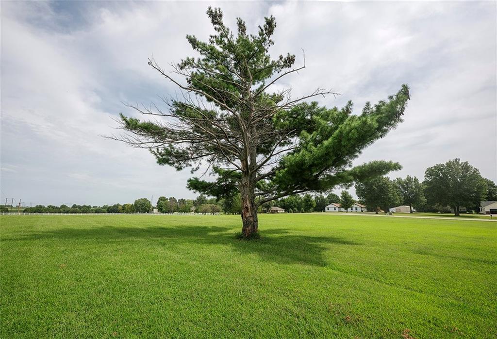 Listing Photo MLS #HMS2637944