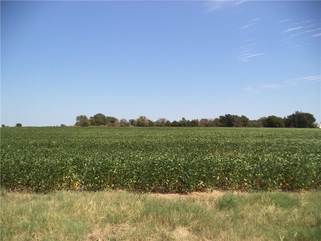 Listing Photo MLS #HMS2638086