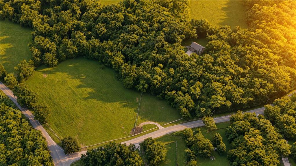 Listing Photo MLS #HMS2638292