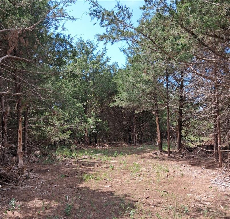 Listing Photo MLS #HMS2638467