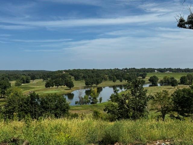 Listing Photo MLS #HMS2638744