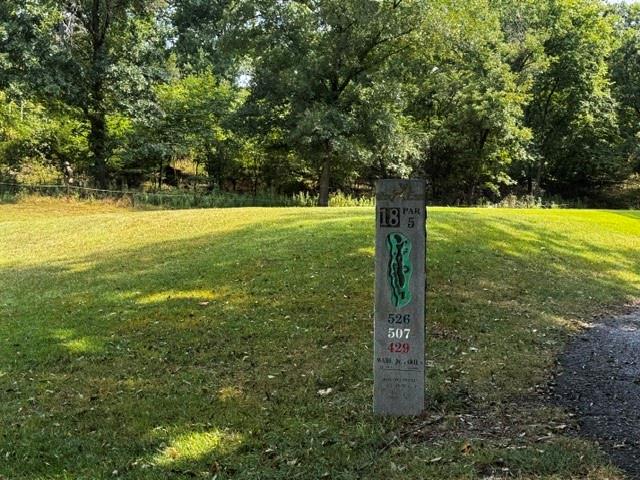 Listing Photo MLS #HMS2638753