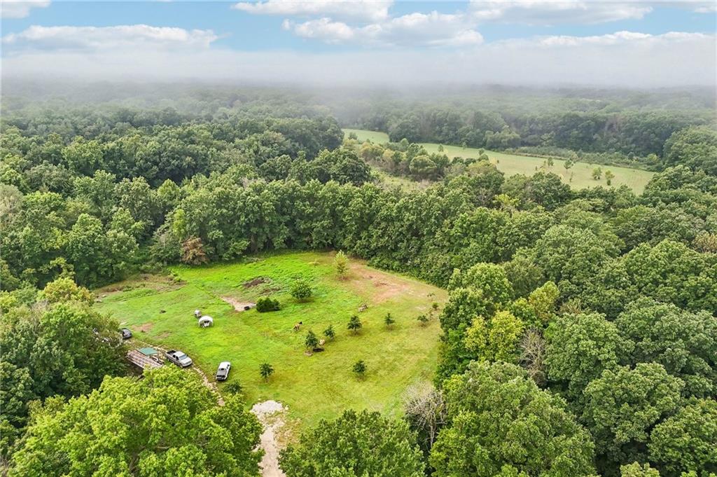 Listing Photo MLS #HMS2638791