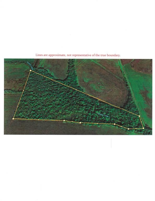 Listing Photo MLS #HMS2638820