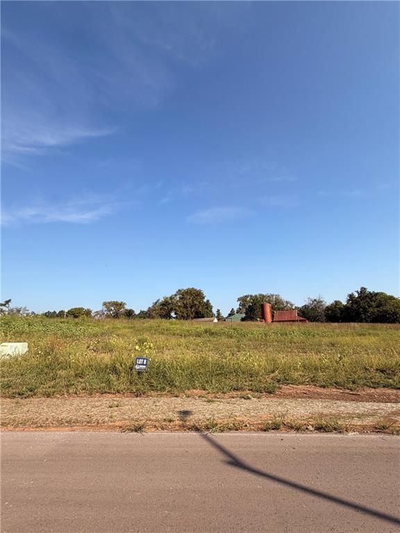 Listing Photo MLS #HMS2638837