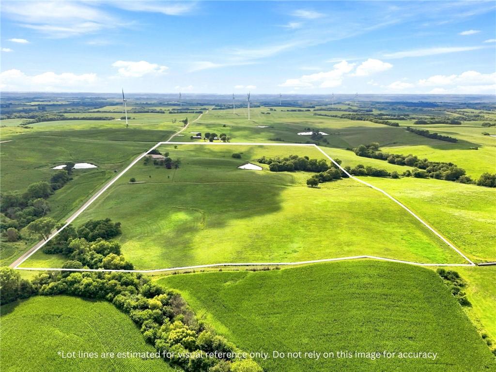 Listing Photo MLS #HMS2638852